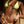Load image into Gallery viewer, VERDE TOP