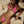 Load image into Gallery viewer, AZALEA BOTTOM