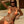 Load image into Gallery viewer, ARANCIA TOP