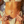 Load image into Gallery viewer, CREAM TOP